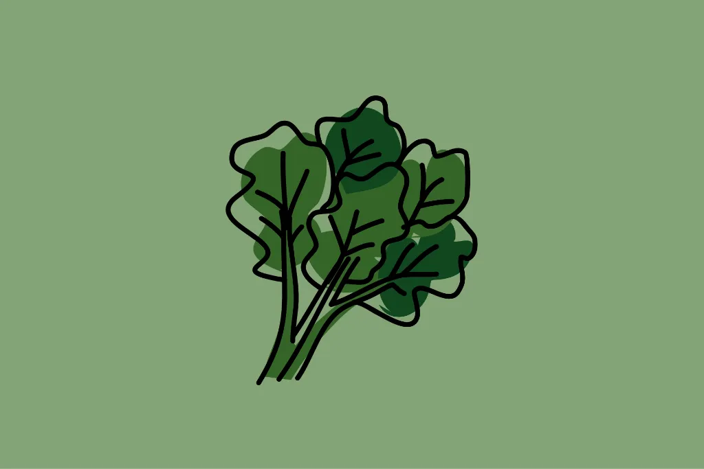 An illustration of kale and spinach, greens, and foods that are crucial for every healthy diet plan.