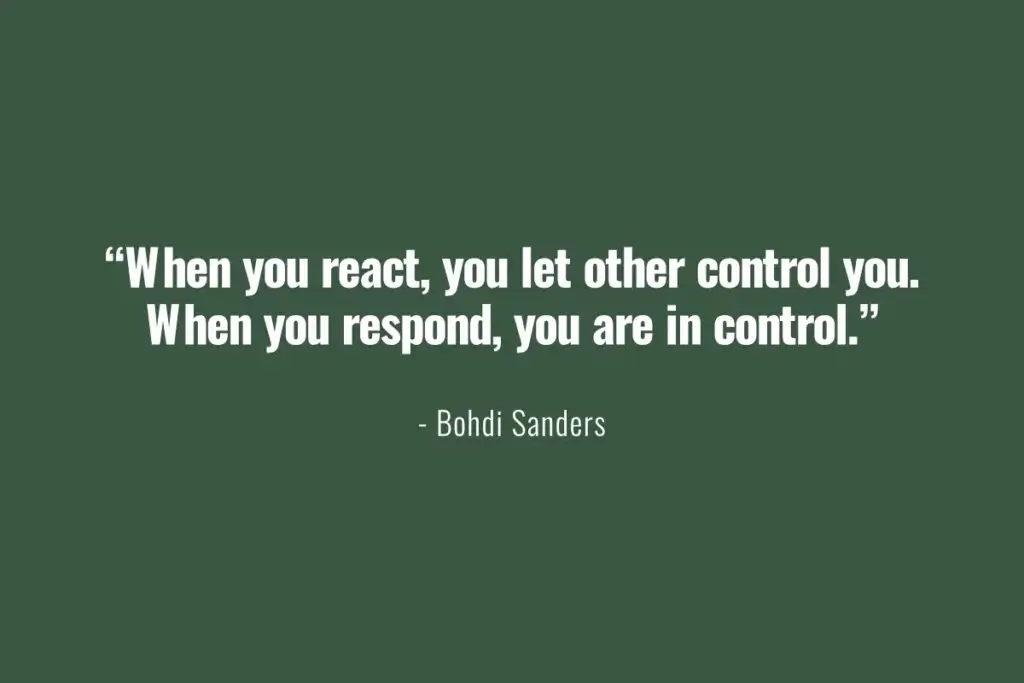 A quote on control, whether to react or respond when emotions hit us, and why you should never let your emotions dictate your actions.
